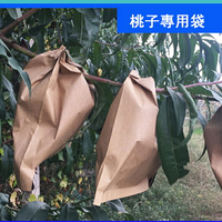 防蟲袋 水果套袋 桃子套袋專用袋黃桃袋桃子紙袋黃桃水蜜桃蟠桃紙袋防蟲防雨水桃袋