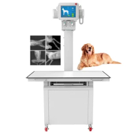 High Frequency 20kW Digital Veterinary X Ray Machine Radiography Xray Machine Vet X-ray Machine Price For Pet Animal