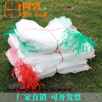 網袋水果網套袋透氣防蟲防鳥蔬菜瓜果保護袋浸種袋