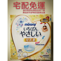 郵寄到家免運✨好市多 moony 滿意寶寶拋棄式防溢乳墊 好事多 母乳墊 Costco代購 液乳墊