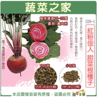 【蔬菜之家】C09-1.紅粉佳人甜菜根種子(兩種規格可選) 葉柄紅色，根系發達，根球圓形。 根莖類種子