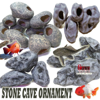 ORNAMENTAL AQUARIUM IKAN HIAS FISH CAVE GOA BATU PERSEMBUNYIAN LOBSTER