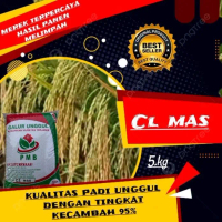 BENIH PADI CL MAS ISI 5KG Padi