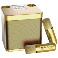 Mini , Portable Bluetooth Karaoke Speaker with 2 Wireless Microphones System for Home Party Singing
