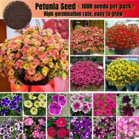 1000pcs Petunia Flower Mix Colour Seeds Balcony Hanging Petunia Seed Climbing Plant Seeds Dwarf Pet