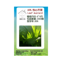 【蔬菜工坊】A26.包心芥菜種子(長年菜)