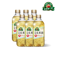 【得意的一天】日本玄米油1.58Lx6(來自日本銷售第一的玄米油大廠)