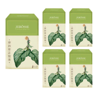 【JEROSSE 婕樂纖】療肺草正冠茶X5盒/100包(14種中草本配方.好舒暢)