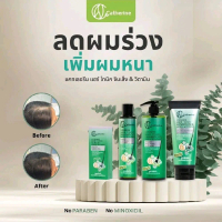 แชมพูอละครีมนวดผม โสมโสมสกัด และ วิตามินB3 ,B5 วิตามินแคทเธอรีน