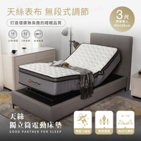 【H&D東稻家居】台灣製天絲獨立筒電動床-3尺單人床墊(德國品牌馬達 MIT床墊)