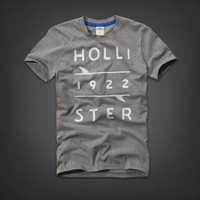 美國百分百【全新真品】Hollister Co. T恤 HCO 短袖 T-shirt 上衣 海鷗 灰 字母 刺繡 文字 男 S M號
