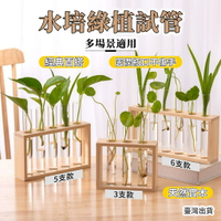 試管花瓶 試管架 試管 試管瓶 花瓶 花瓶擺件 玻璃試管 水耕植物 水培玻璃瓶 玻璃花瓶 木試管架 水植物容器