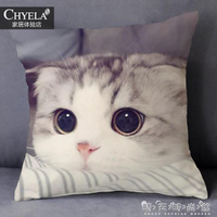 呆萌可愛寵物小貓咪狗狗動物圖案抱枕定制來圖定做照片沙發靠墊背