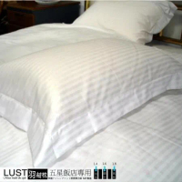【LUST】五星級飯店專用-1.8KG羽絨枕 /羽毛枕/100%純棉表布【搭配專用100%純棉枕頭套】