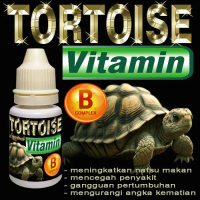 TORTOISE VITAMIN CAIR LIQUID OBAT MENYEMBUHKAN GANGGUAN PERTUMBUHAN DAN KEKURANGAN B COMPLEX MENGATA