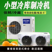 【可開發票】變頻制冷機蔬菜水果保鮮機小型冷庫制冷機冷庫機冷藏機冷風機制冷