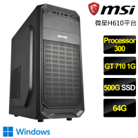 【微星平台】Processor雙核GT710 Win11P{風雲變色}文書電腦(Processor-300/H610/64G/500GB)