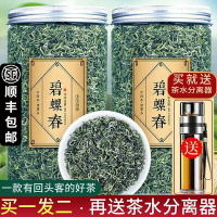 年新茶 特級明前碧螺春新茶綠茶茶葉春茶毛尖散袋裝500g