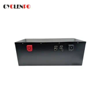 Customized 48v lithium iron phosphate battery 100ah 200ah battery for ev and ess
