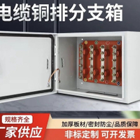 【台灣公司 超低價】低壓銅排分支箱電纜分支T接箱分線箱銅排t接箱紫銅鍍錫分支箱TJ箱
