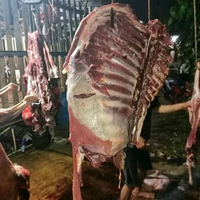 Iga Kambing / Iga Kambing premium / Iga kambing utuh