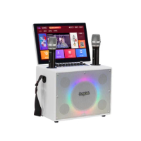 Professional intelligent display karaoke machine with home theater touch screen speaker system