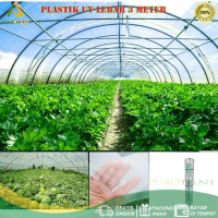 PRTN Plastik atap UV 14% lebar 3M tebal 170 micron green house hidroponik ED814BIG SALE