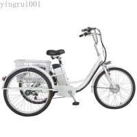 250W Motor 48V Electric Bicycle For Mens Three Speed Transmission 24 Inch 3 Wheel Electric Tricycles Trike For Adults