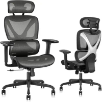 GABRYLLY ergonomic office chair, mesh with lumbar support and headrest, adjustable armrests, ergonomic chair for home office