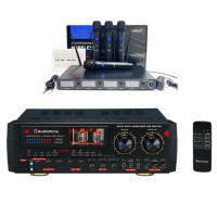 【AudioKing】HS-9503 綜合擴大機(專業/家庭兩用擴大機 250W+250W大功率輸出)