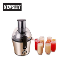 Household Appliances Stainless Steel Slow Juicer