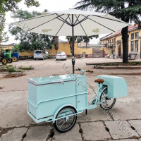3 Wheel Ice Cream Bike Front Loading Electric And Pedal Tricycle With Freezer Mobile Vending Bike