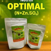 Nutrisi OPTIMAL, Nutrisi anakan, nutrisi tanaman