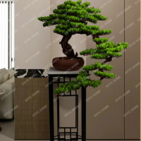 Welcome Pine Green Plant Floor-Standing Decorations Hallway Hotel Living Room Aisle Fake Trees Bonsai Bonsai Decoration