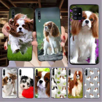 Cavalier King Charles Phone Cover For samsung Galaxy A14 A53 A13 A12 A21S A40 A22 A23 A32 A33 A34 A50 A51 A52S A54 A71 A73 cases
