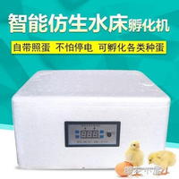 新偉達孵化機全自動小型家用型水床孵蛋器孔雀鴨鵝家用雞蛋孵化器 領券更優惠