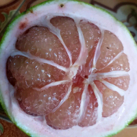 jeruk pamelo madu manis 2000g-2300g
