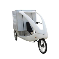 Adult Electric Cargo Bike Tricycle Three Wheels Passenger Car 3 Wheel Bicycle Delivery Vehicle for sale
