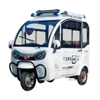 Customized fully enclosed electric tricycle for household use, small women picking up children, elderly adults with sheds, doubl
