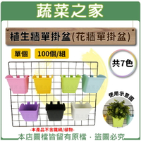 【蔬菜之家】植生牆單掛盆(花牆單掛盆)共7色 單入.100個/組(兩種規格可選)