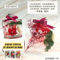 【A-ONE】浮游花DIY花材包 乾燥花花材包 滿天星 聖誕節 情人節永生花 馴鹿草 浮游花材 滿天星 H45