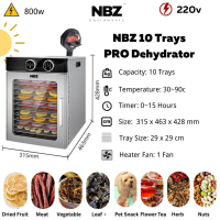 Explosive Models NBZ 10 Tray Food Dehydrator Machine Food Dryer Dehydrator Dehydrated Machine Food d
