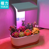 植物燈 植力【桌面植物燈】多肉補光led全光譜上色USB家用室內育苗種植機