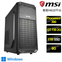 【NVIDIA】Processor雙核GT730 Win11P{一刀兩斷}文書電腦(Processor-300/H610/8G/1TB)