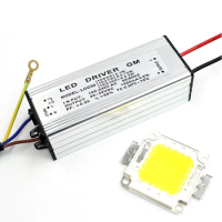 Real Watt LED 10W 20W 30W 50W High Power COB LED Lamp Chip &amp; LED Power Supply Driver 1Set For LED Flood light