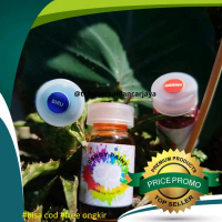 (OLES) 12,5 ML CAT AKRILIK CAT REFLEKTOR CAT SEPATU CANDY PAINT CAT KROM CAT VELG CANDY KROM / CHROM