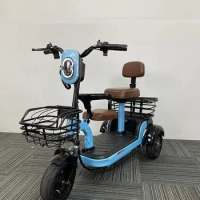 2022 The Elderly Take New Manufacture Trike Adult Tricycles Electrical Motor Electric Tricycles 48V Electric Cargo Cars Eec Open