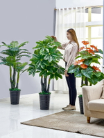 發財樹仿真植物盆栽綠植塑料假樹大型客廳落地假盆景裝飾室內花