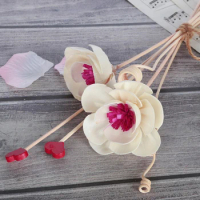 Aroma Diffuser Stick Dried Flower 5pcs Replacement Refill Sticks Room Decoration Fragrant Reed Wood Home Office Spa Aromatherapy