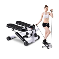 Home Fitness Equipment Lose Weight Fitness Body Shaping Stepper Mini Stepper